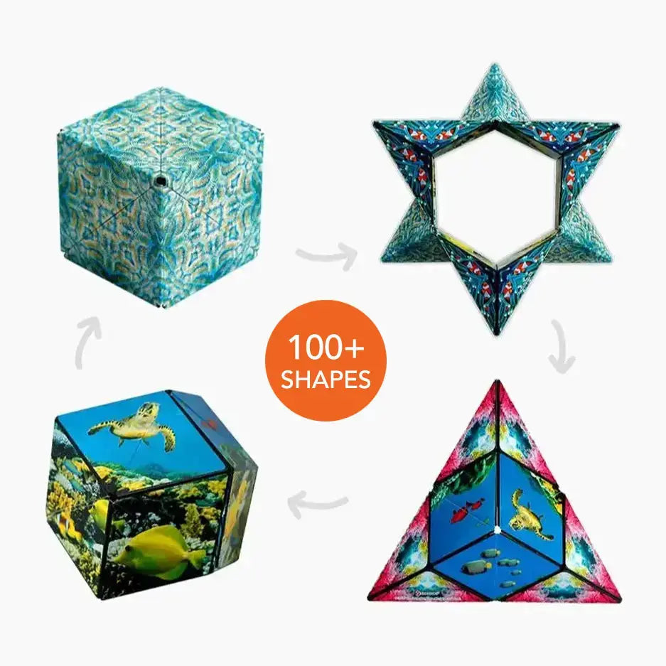 Explorer Series - Motion Play
